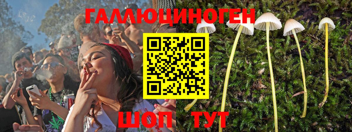 Псилоцибиновые грибы GOLDEN TEACHER  купить наркоту  Верхняя Салда  Вход с VPN 